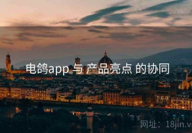 电鸽app 与 产品亮点 的协同