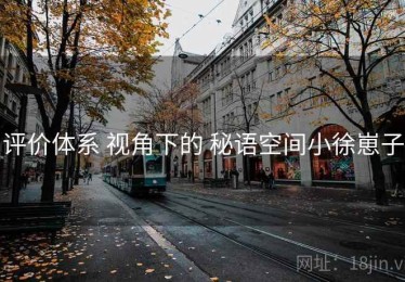 评价体系 视角下的 秘语空间小徐崽子