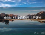 电鸽在线 操作规范 执行要点