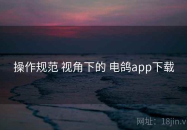 操作规范 视角下的 电鸽app下载