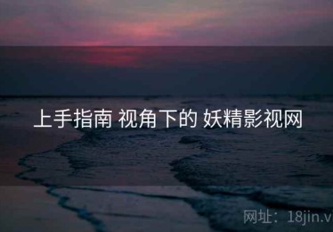 上手指南 视角下的 妖精影视网