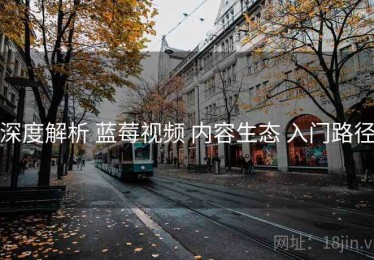 深度解析 蓝莓视频 内容生态 入门路径