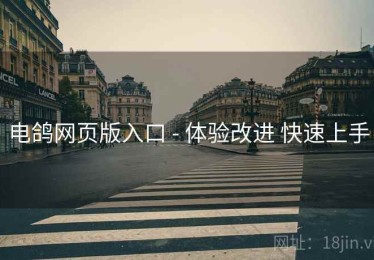 电鸽网页版入口 - 体验改进 快速上手