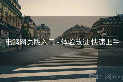 电鸽网页版入口 - 体验改进 快速上手