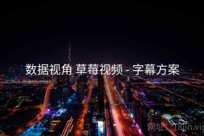 数据视角 草莓视频 - 字幕方案