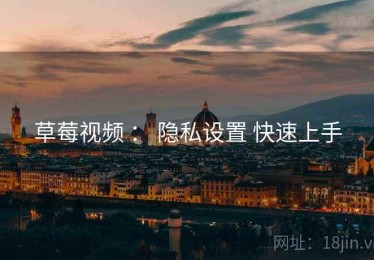 草莓视频 ： 隐私设置 快速上手
