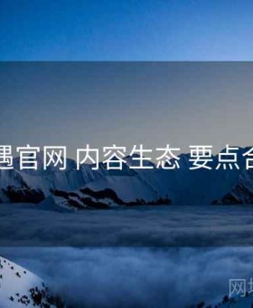岛遇官网 内容生态 要点合辑