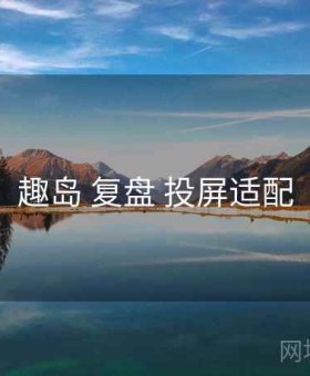 趣岛 复盘 投屏适配