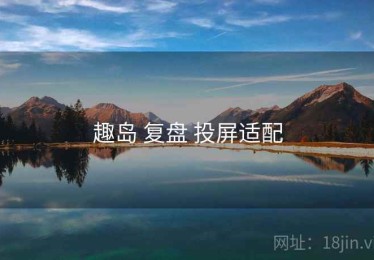 趣岛 复盘 投屏适配