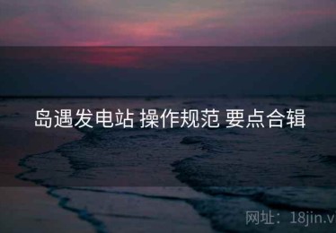 岛遇发电站 操作规范 要点合辑