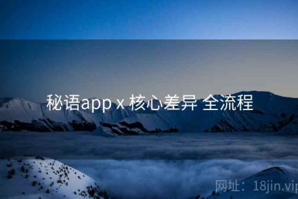 秘语app x 核心差异 全流程