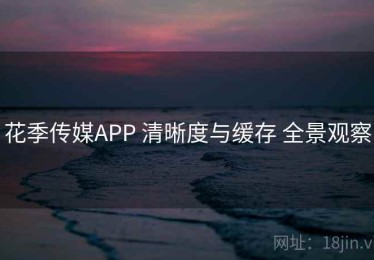 花季传媒APP 清晰度与缓存 全景观察