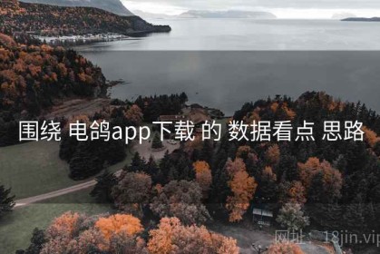 围绕 电鸽app下载 的 数据看点 思路