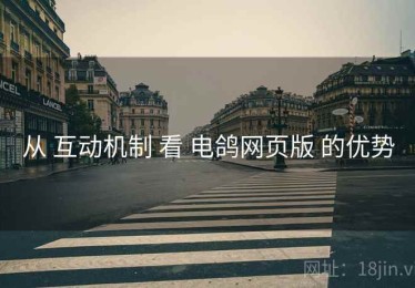 从 互动机制 看 电鸽网页版 的优势