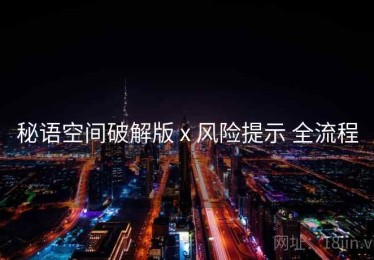 秘语空间破解版 x 风险提示 全流程