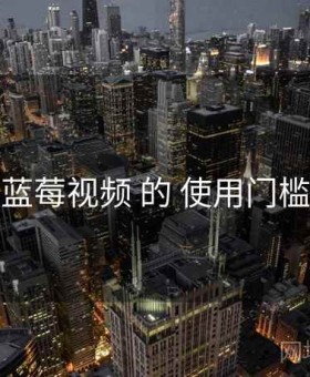 关于 蓝莓视频 的 使用门槛 研究