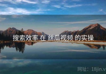 搜索效率 在 丝瓜视频 的实操