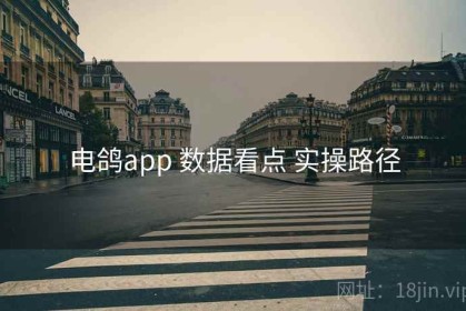 电鸽app 数据看点 实操路径