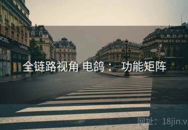 全链路视角 电鸽 ： 功能矩阵