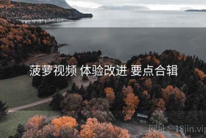 菠萝视频 体验改进 要点合辑