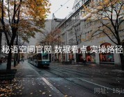 秘语空间官网 数据看点 实操路径