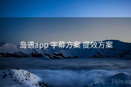 岛遇app 字幕方案 提效方案