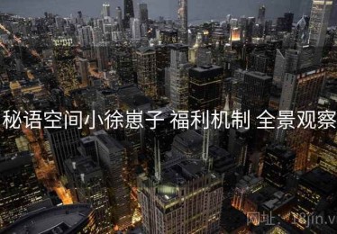 秘语空间小徐崽子 福利机制 全景观察