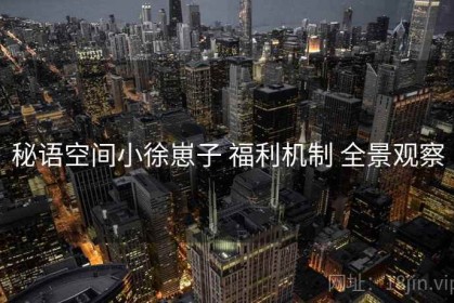 秘语空间小徐崽子 福利机制 全景观察