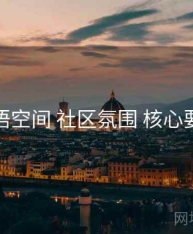 秘语空间 社区氛围 核心要点