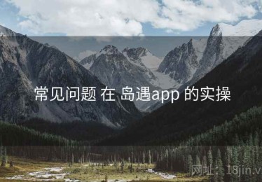 常见问题 在 岛遇app 的实操