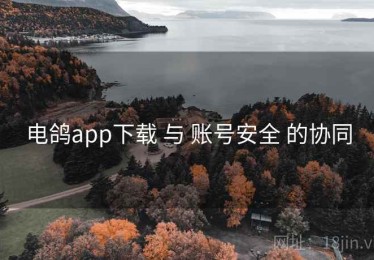 电鸽app下载 与 账号安全 的协同