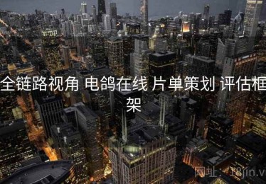全链路视角 电鸽在线 片单策划 评估框架
