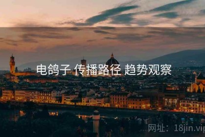 电鸽子 传播路径 趋势观察