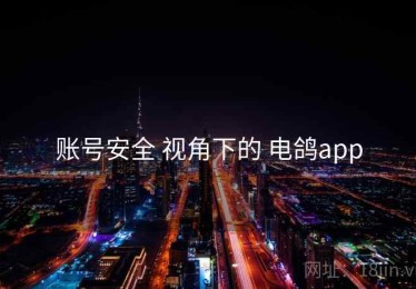 账号安全 视角下的 电鸽app