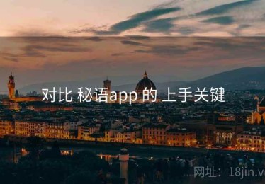 对比 秘语app 的 上手关键
