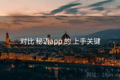 对比 秘语app 的 上手关键