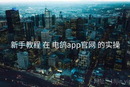 新手教程 在 电鸽app官网 的实操