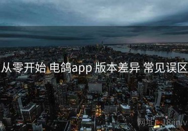 从零开始 电鸽app 版本差异 常见误区