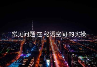 常见问题 在 秘语空间 的实操