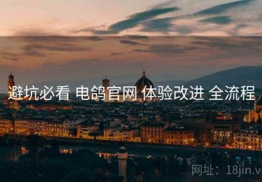 避坑必看 电鸽官网 体验改进 全流程