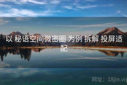 以 秘语空间微密圈 为例 拆解 投屏适配