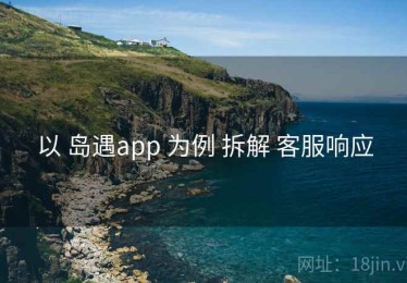 以 岛遇app 为例 拆解 客服响应