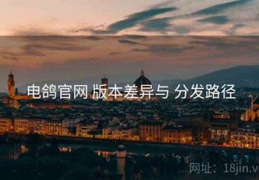 电鸽官网 版本差异与 分发路径