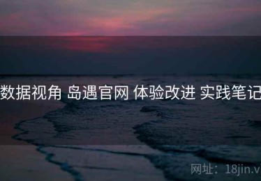 数据视角 岛遇官网 体验改进 实践笔记