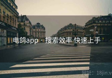 电鸽app · 搜索效率 快速上手