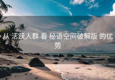从 活跃人群 看 秘语空间破解版 的优势