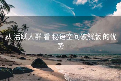 从 活跃人群 看 秘语空间破解版 的优势