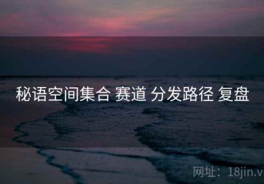 秘语空间集合 赛道 分发路径 复盘