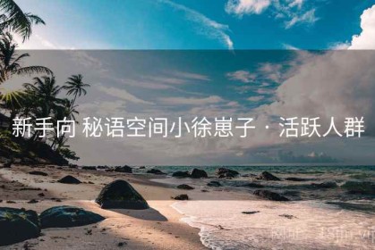 新手向 秘语空间小徐崽子 · 活跃人群