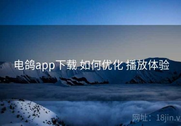 电鸽app下载 如何优化 播放体验
